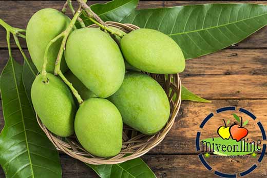 خرید ترشی انبه بندر عباسی + قیمت ترشی انبه