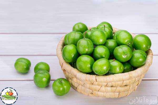 قیمت گوجه سبز در سال جدید میوه آنلاین