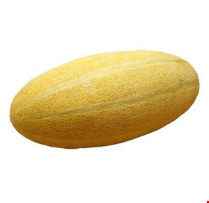 خربزه